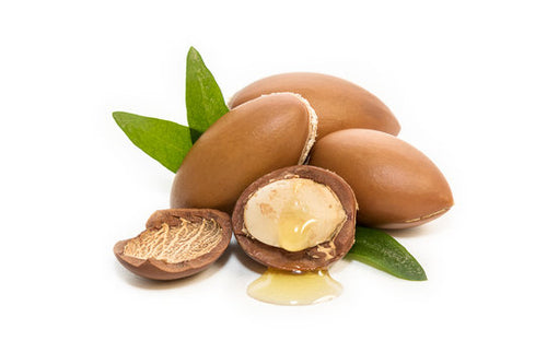 Argan seed